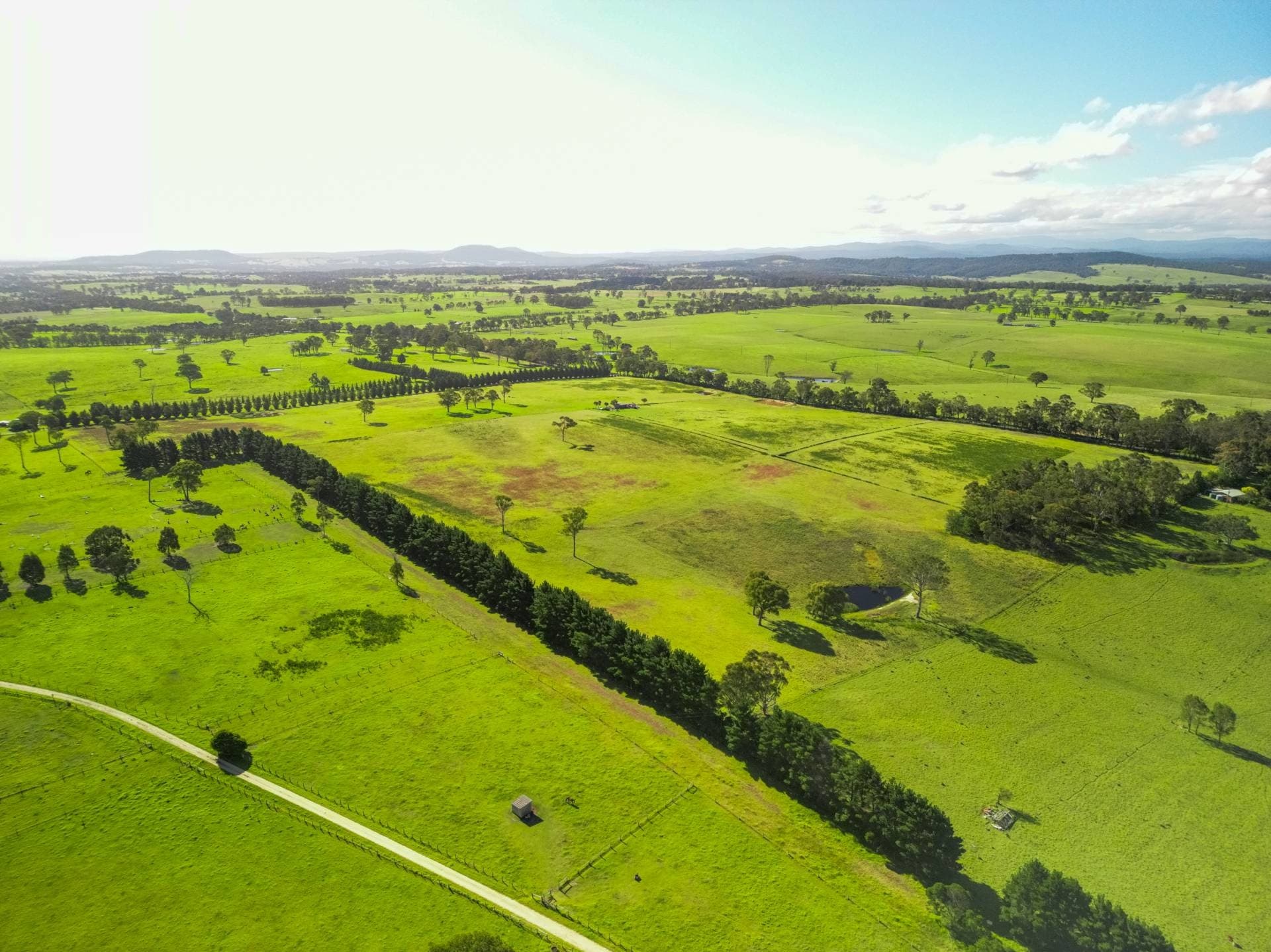 SPECTCULAR UNDULATING LAND, Nicholson
    500 Olivers Rd VIC, Nicholson 500 Olivers Rd - Thumbnail 7