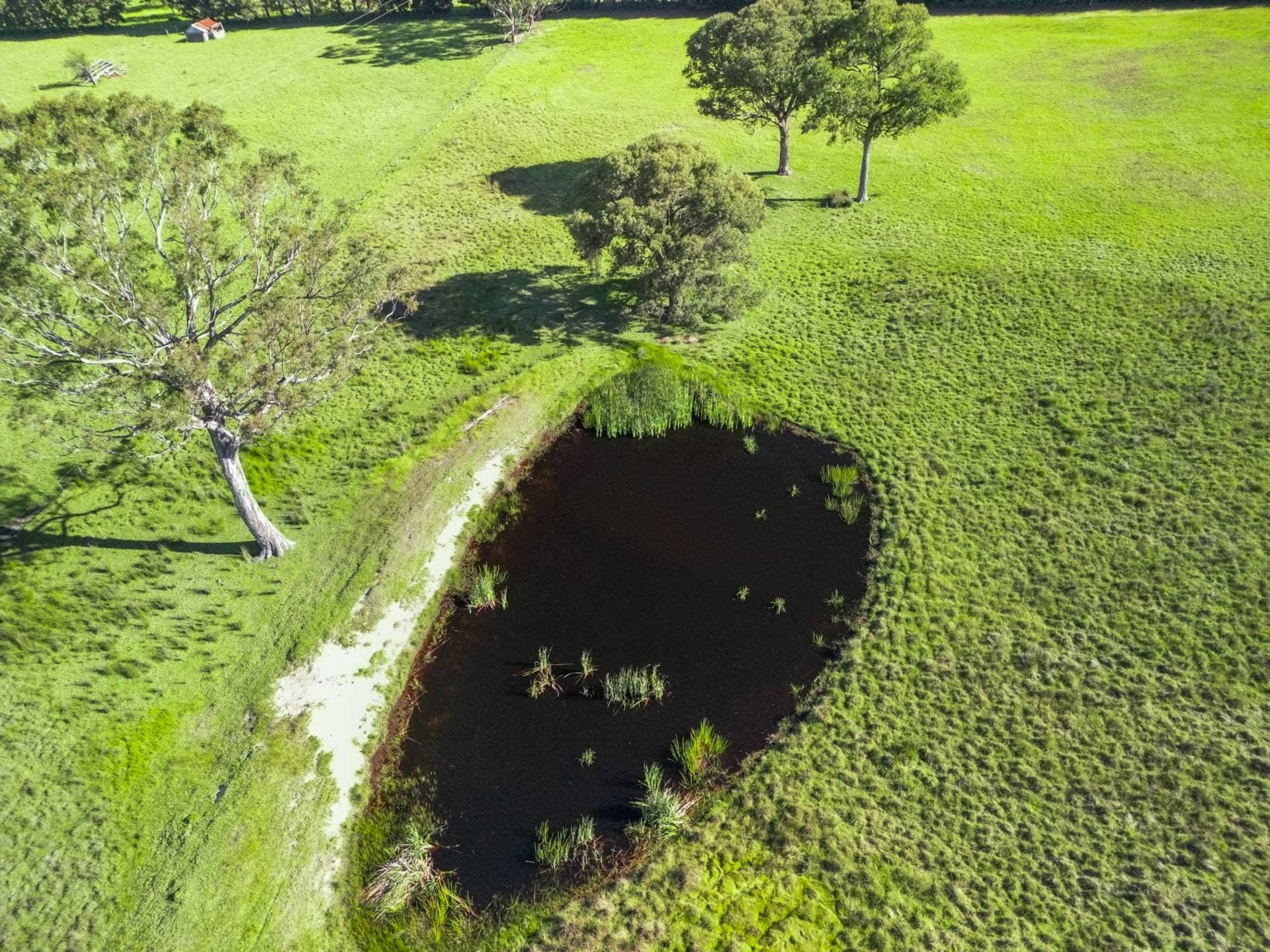 SPECTCULAR UNDULATING LAND, Nicholson
    500 Olivers Rd VIC, Nicholson 500 Olivers Rd - Thumbnail 8