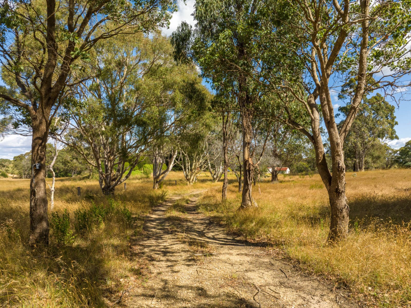 55 Hunters Lane Kalimna VIC 3909, Kalimna - Thumbnail 7