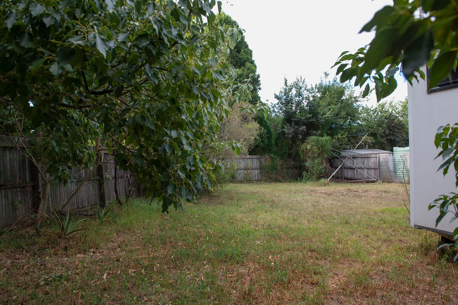 17 Butt Street Harristown QLD 4350, Harristown - Thumbnail 5