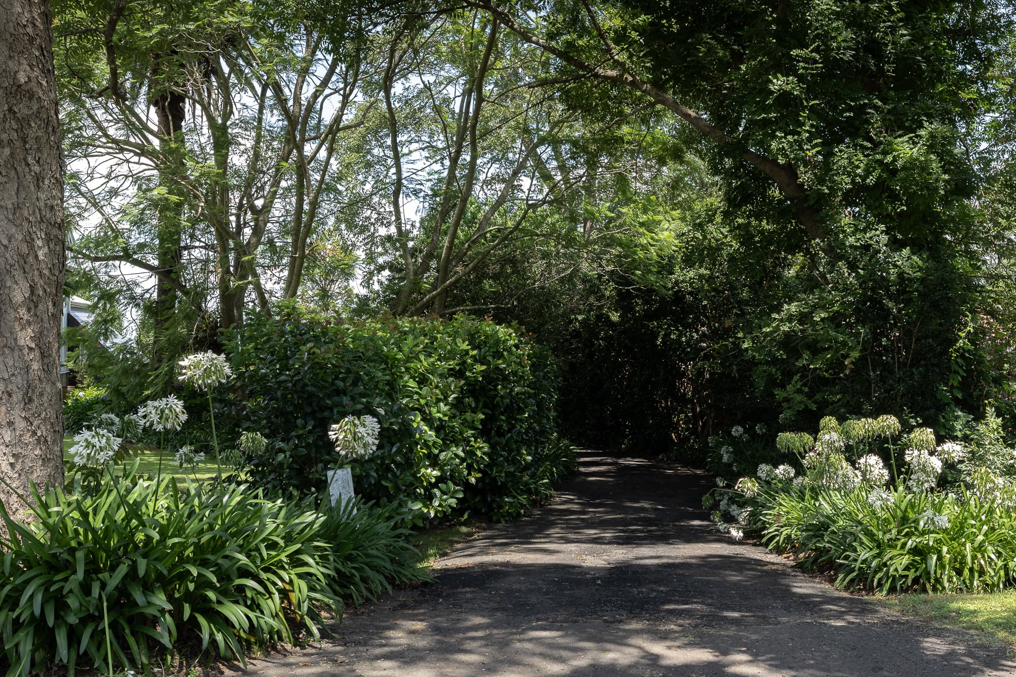 36 East Street, Redwood - Thumbnail 7