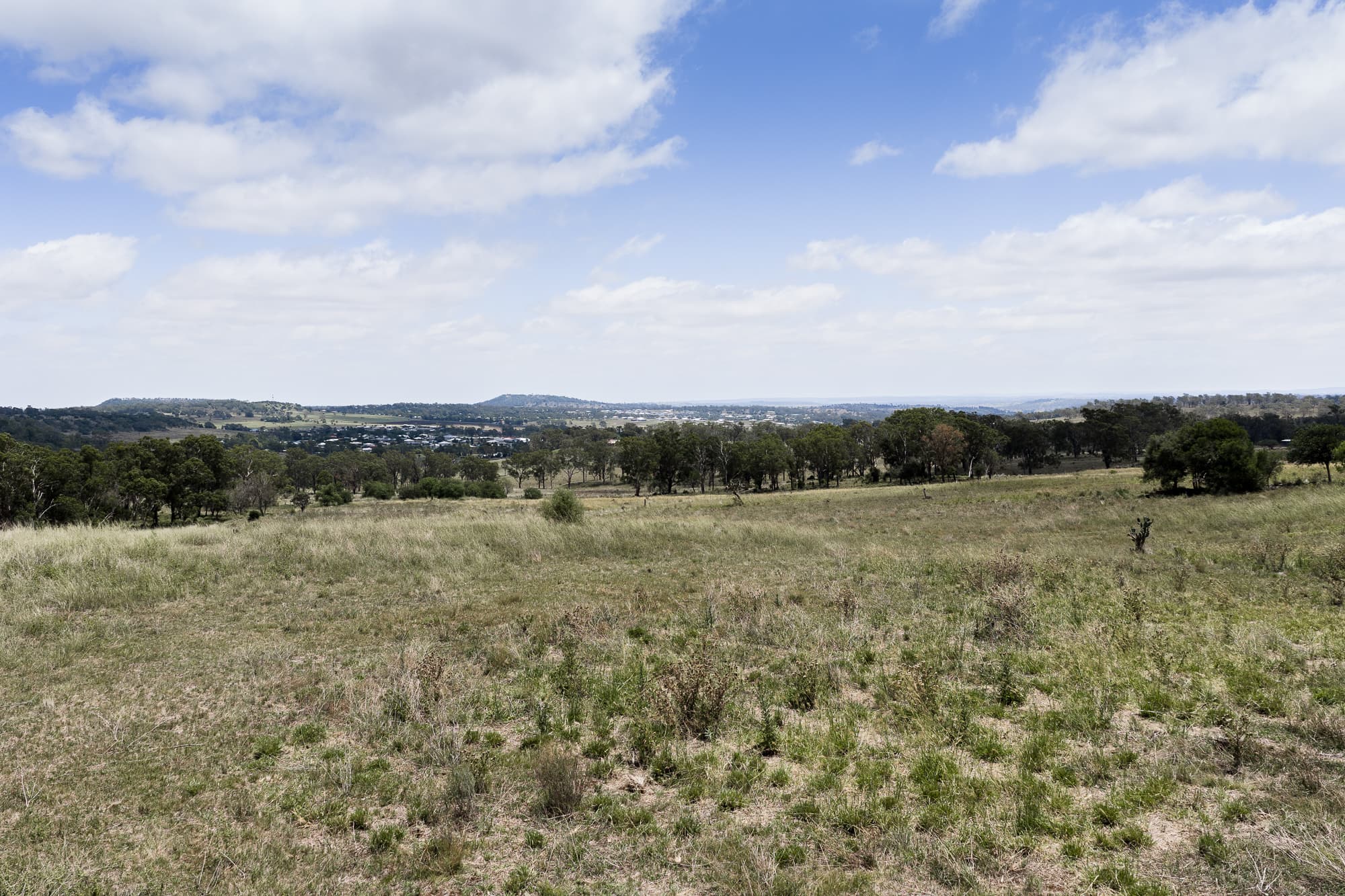 254 Woolmer  Road, Woolmer - Thumbnail 6