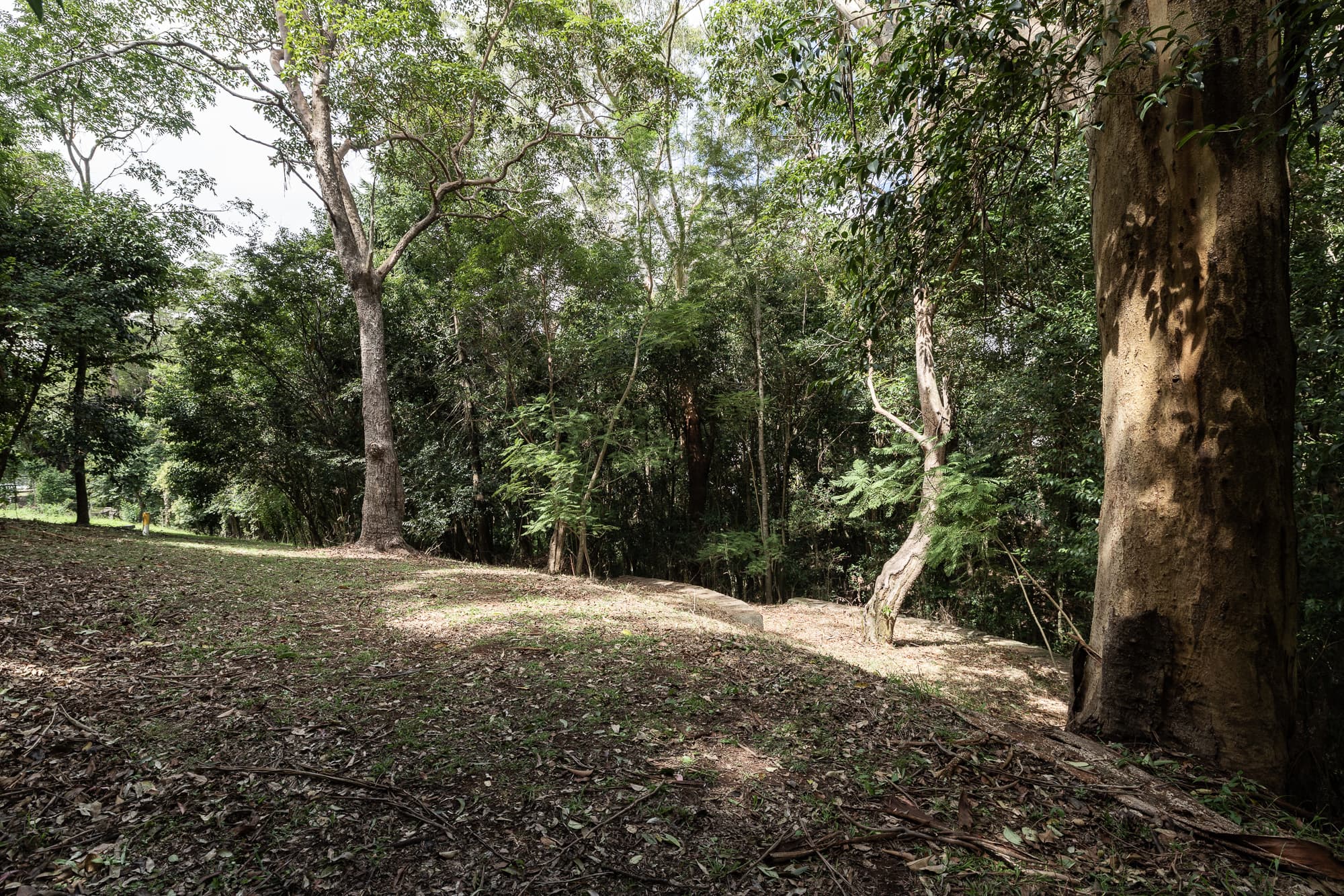 Lot 1 Allinga Street, Mount Lofty - Thumbnail 7