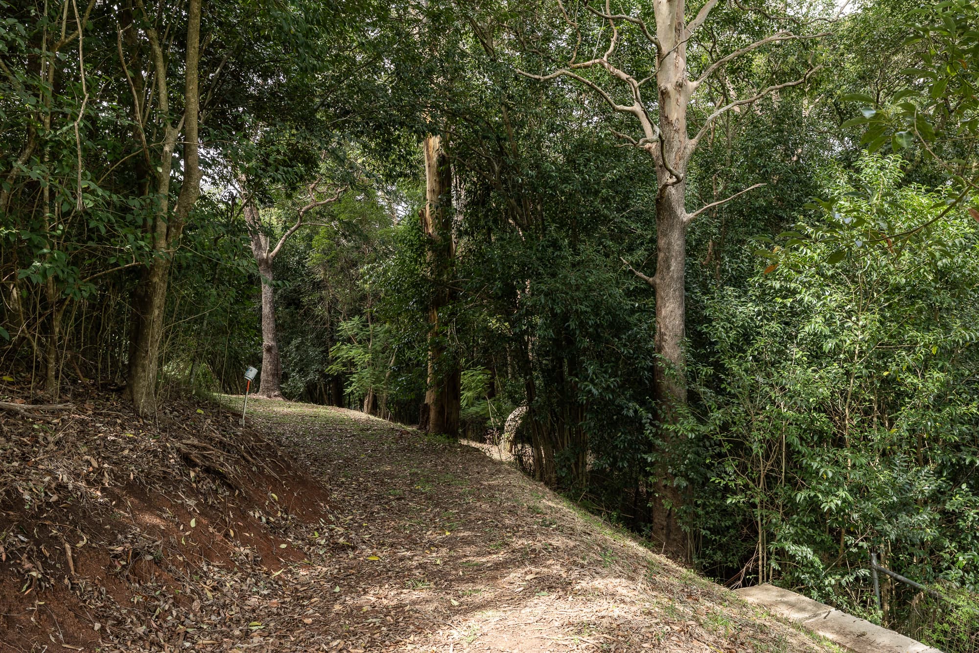 Lot 1 Allinga Street, Mount Lofty - Thumbnail 8