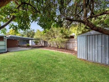 14 Penn Court, Tootgarook - Thumbnail 5