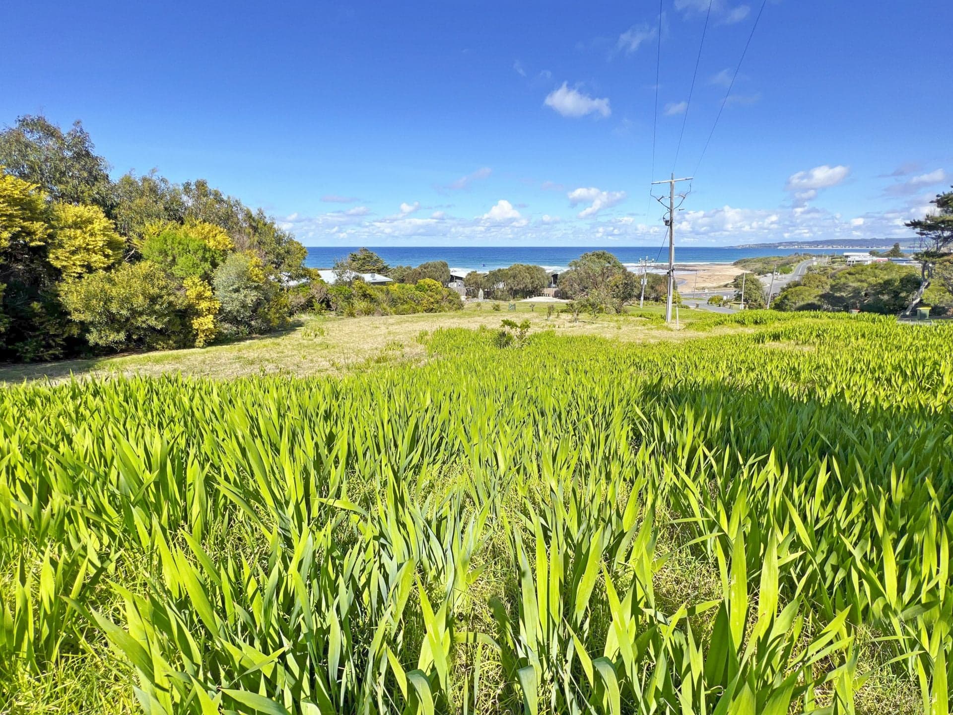 14 Old Coach Road, Skenes Creek - Image 1