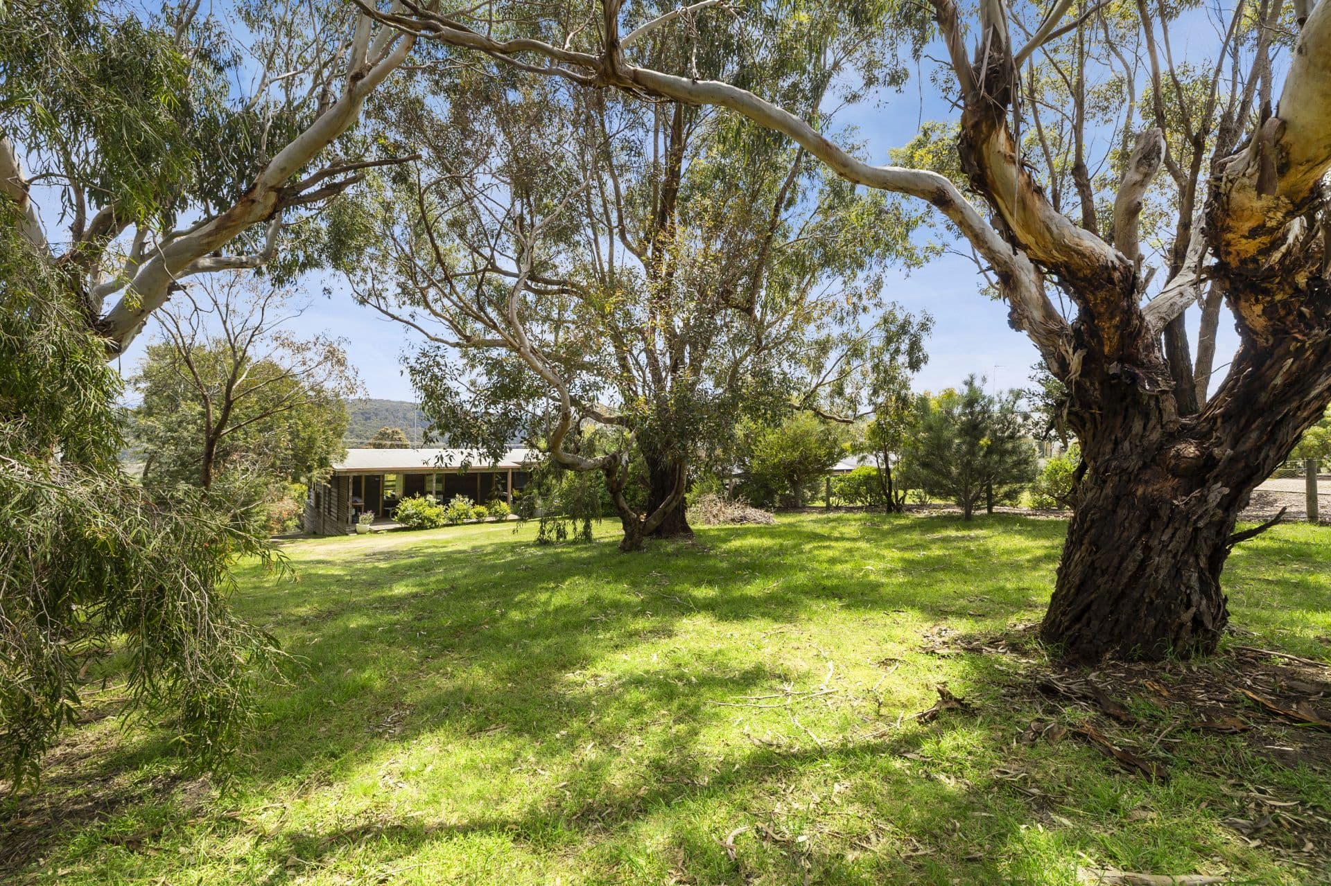 4 Brent Avenue, Aireys Inlet - Thumbnail 3