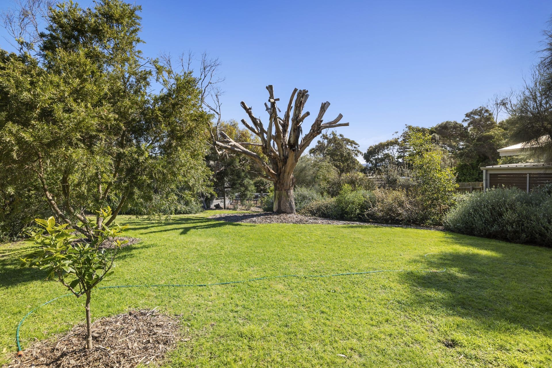7 Philip Street, Aireys Inlet - Image 1