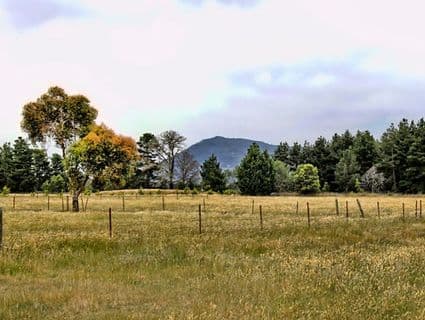 404, New Gisborne - Thumbnail 5