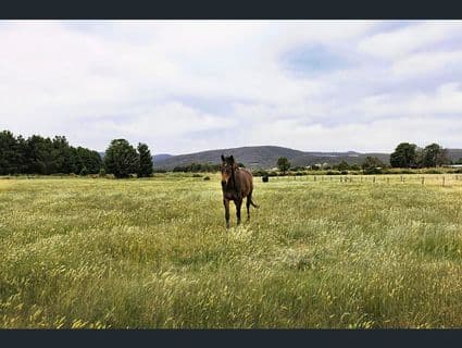 404, New Gisborne - Thumbnail 6