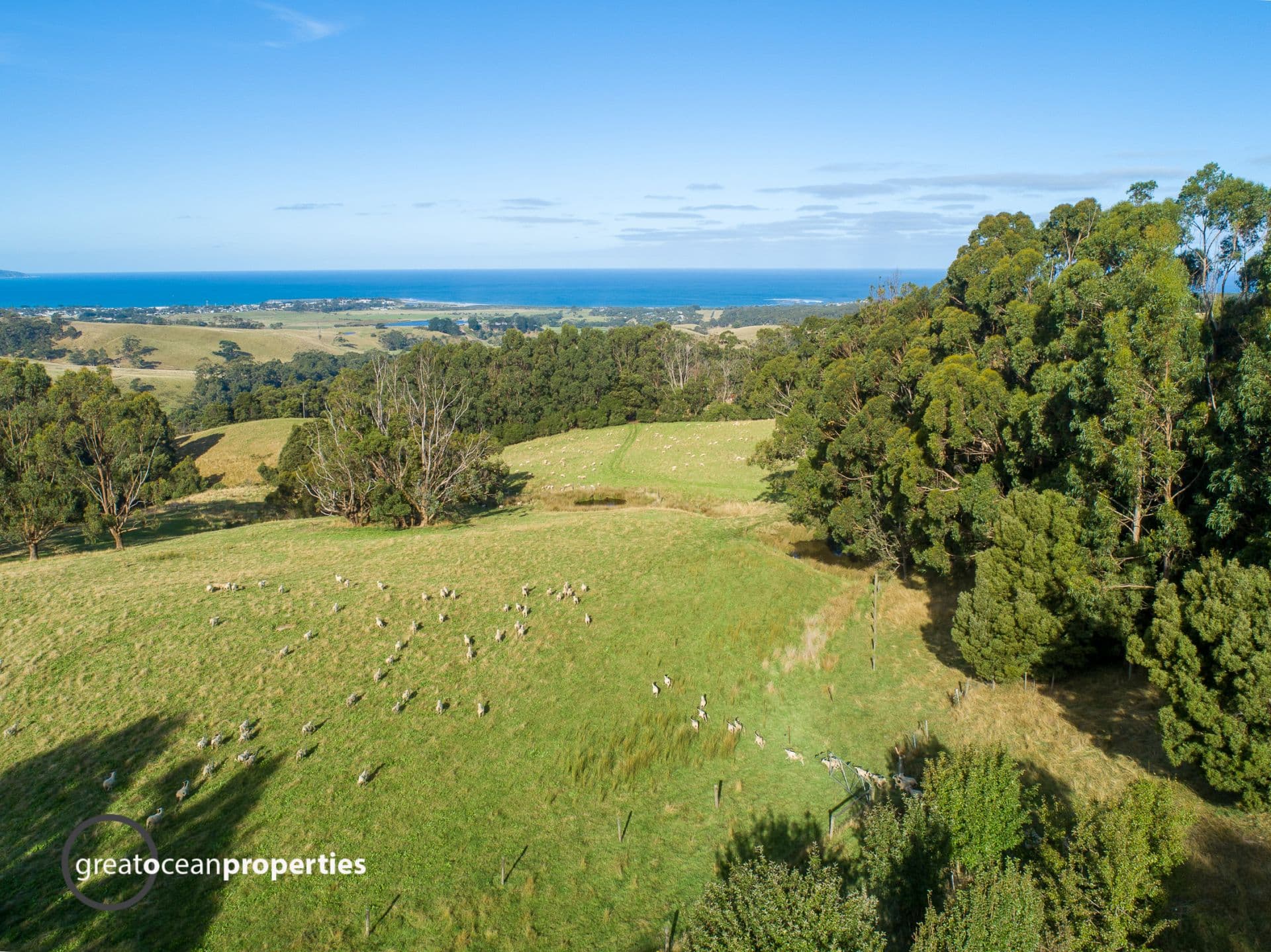 105 Old Hordern Vale Road, Apollo Bay - Thumbnail 4