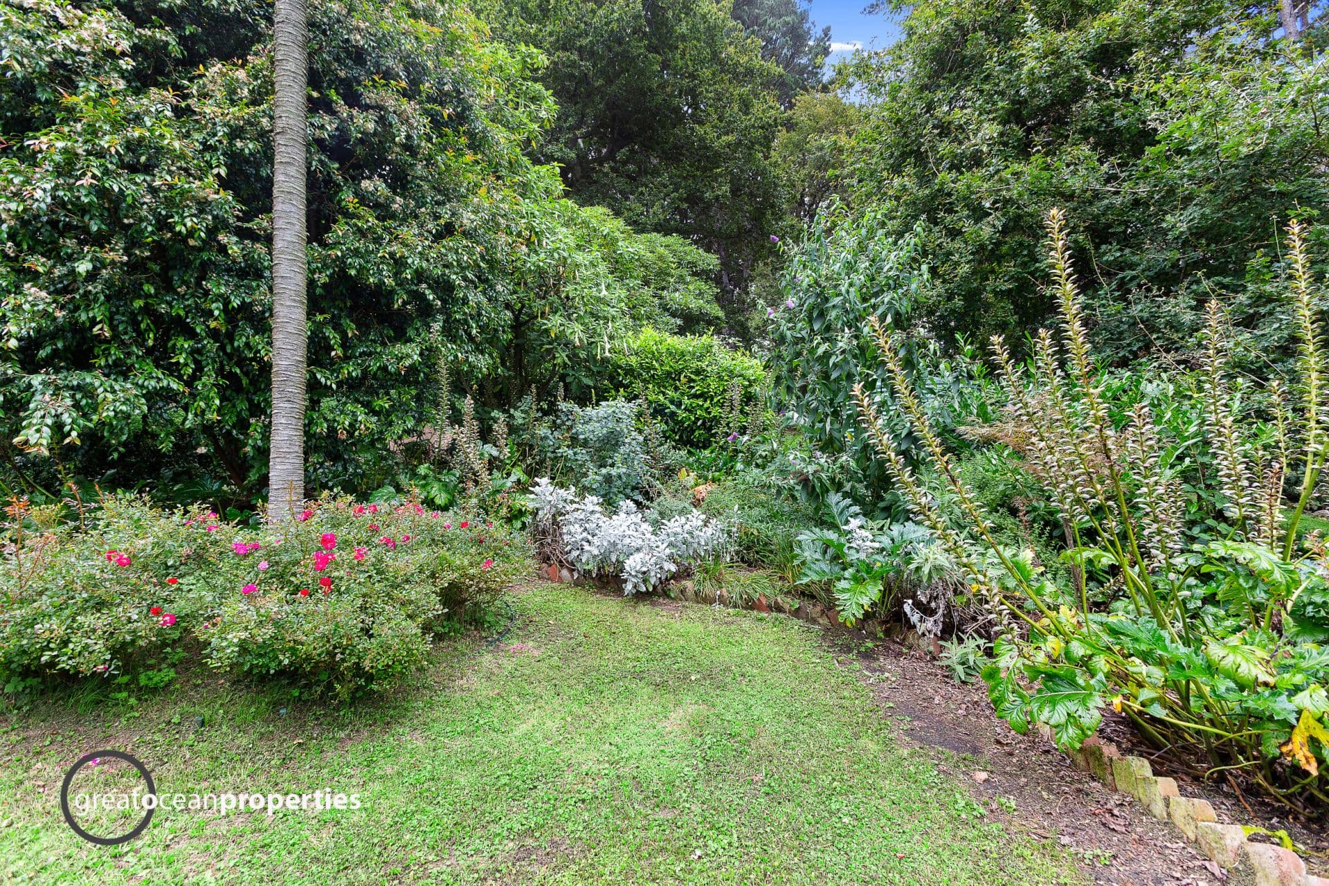420 Busty Road, Apollo Bay - Image 1