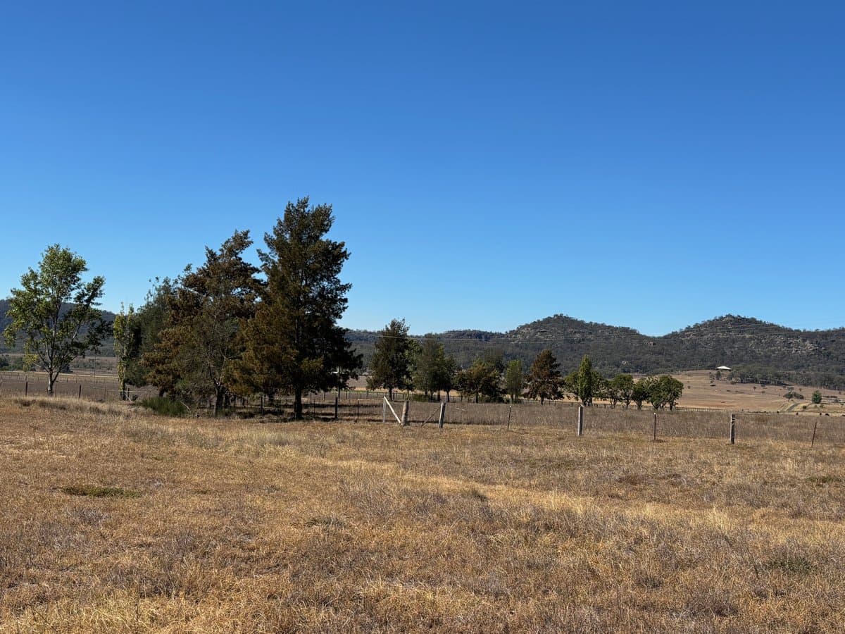197 Mount Dangar Road,, BAERAMI NSW 2333, Baerami - Thumbnail 3