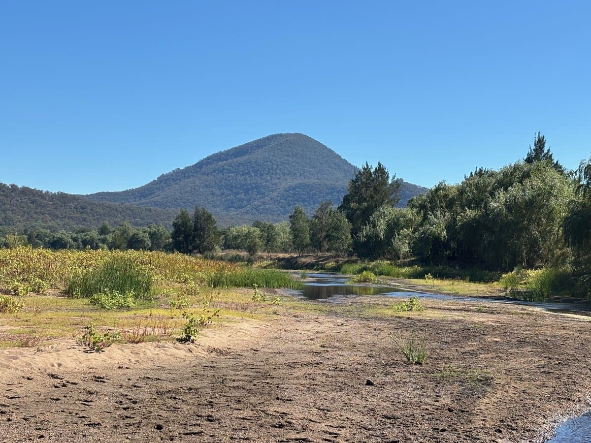 197 Mount Dangar Road,, BAERAMI NSW 2333, Baerami - Thumbnail 4