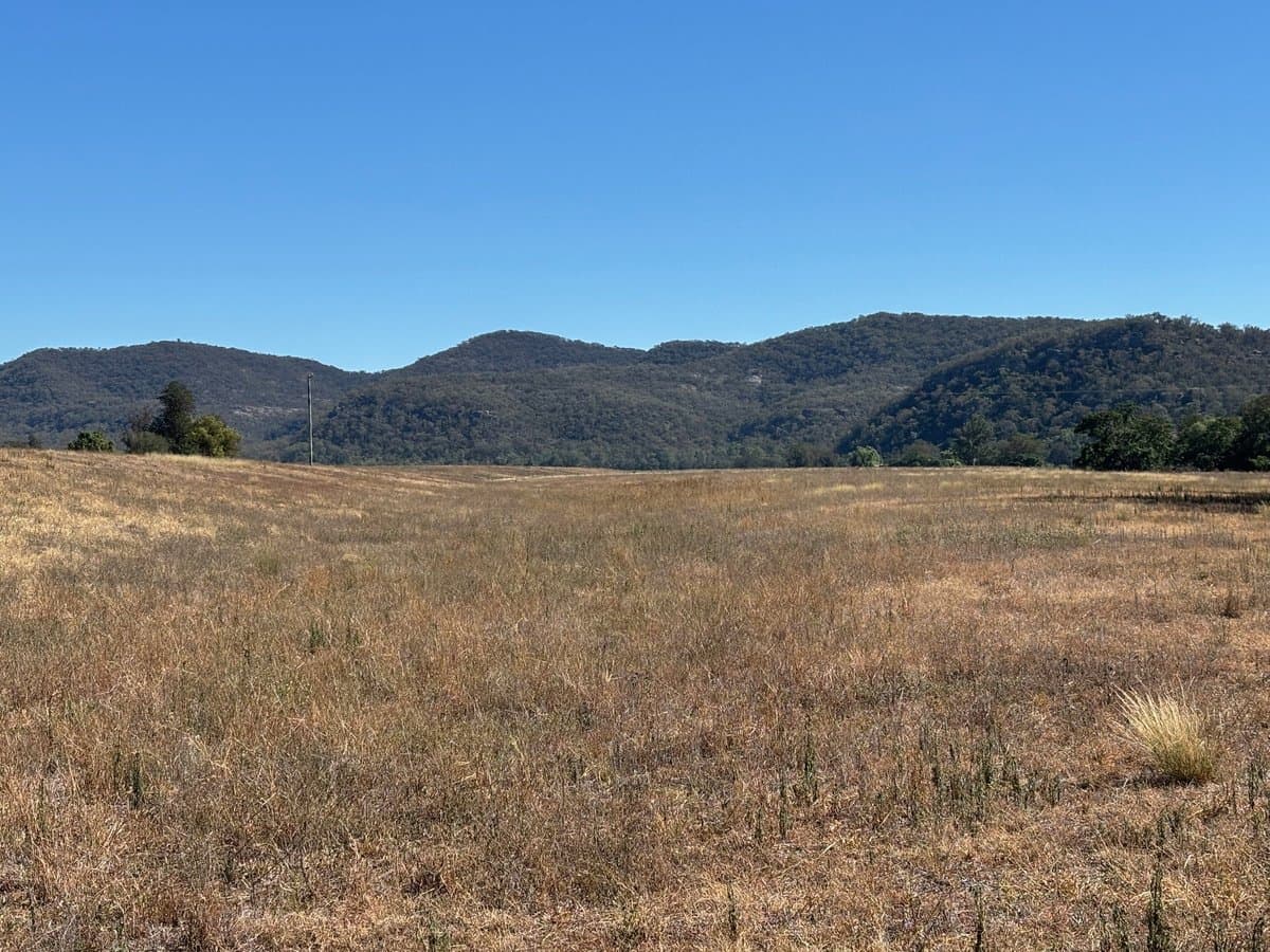 197 Mount Dangar Road,, BAERAMI NSW 2333, Baerami - Thumbnail 5