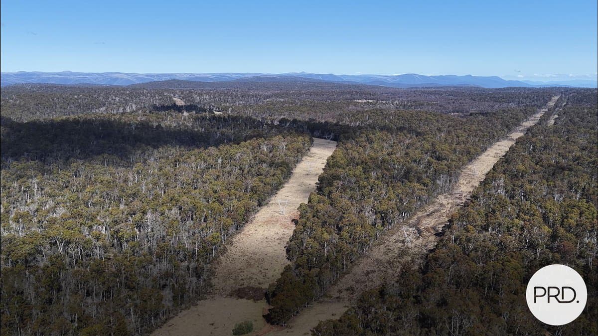 Lot 17 East Bago Powerline Road, TUMBARUMBA NSW 2653, Tumbarumba - Image 1