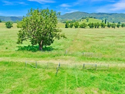 2054 Maleny Kenilworth Road, Conondale - Thumbnail 7