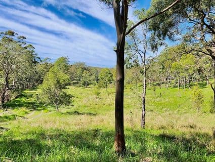 Bellthorpe West Road, Conondale - Thumbnail 3