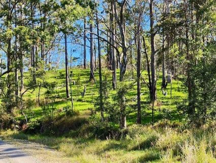 Bellthorpe West Road, Conondale - Thumbnail 4