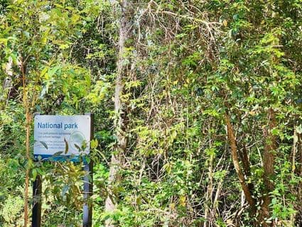 Bellthorpe West Road, Conondale - Thumbnail 5
