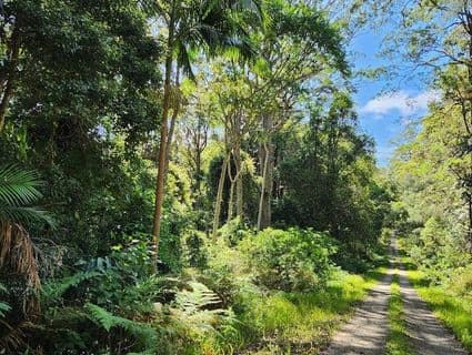 Bellthorpe West Road, Conondale - Thumbnail 6