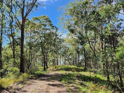 Bellthorpe West Road, Conondale - Thumbnail 8