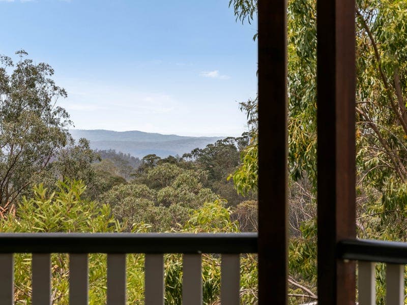 29 Zuccoli Drive, Blue Mountain Heights - Thumbnail 3