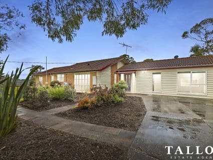 411 Stony Point Road, Crib Point - Image 1