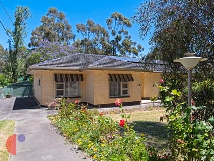 33 Meadow Avenue, Hawthorndene - Thumbnail 3