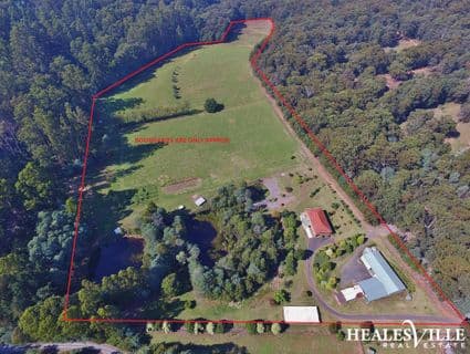 135 Beenak Road, Hoddles Creek - Image 1