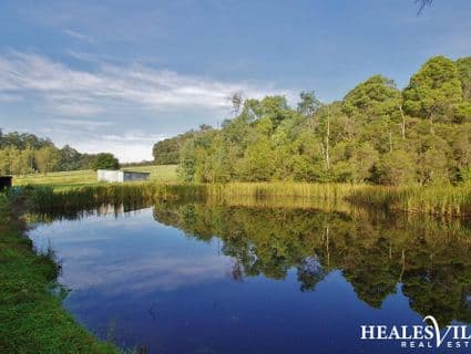 135 Beenak Road, Hoddles Creek - Thumbnail 4