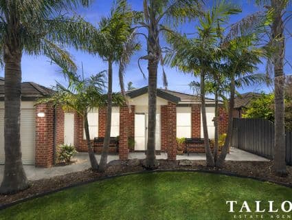 9 Windrest Place, Hastings - Thumbnail 2