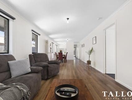 17 Michelle Drive, Hastings - Thumbnail 5