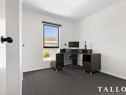 17 Michelle Drive, Hastings - Thumbnail 7
