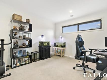 4A Phillip Court, Hastings - Thumbnail 7