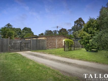 11 Wills Street, Hastings - Image 1