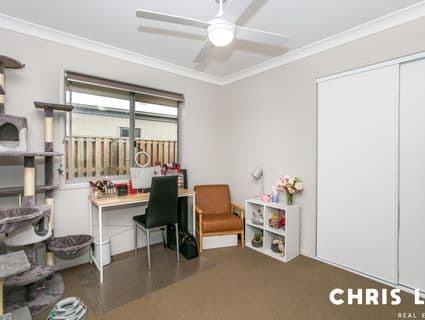 11 Josephine Court, Logan Reserve - Thumbnail 4