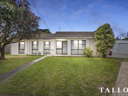 22 Junee Court, Hastings - Image 1