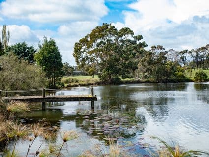 165 Coolart Road, Hastings - Thumbnail 4