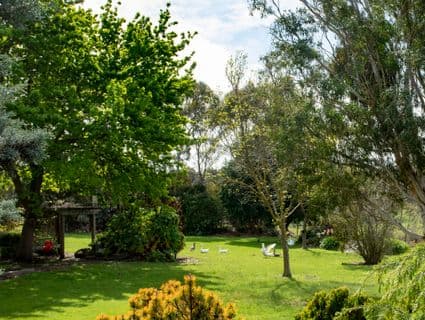 165 Coolart Road, Hastings - Thumbnail 6