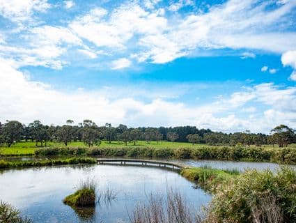 165 Coolart Road, Hastings - Thumbnail 7