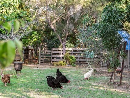 25-27 Boxgum Court, Ningi - Thumbnail 4