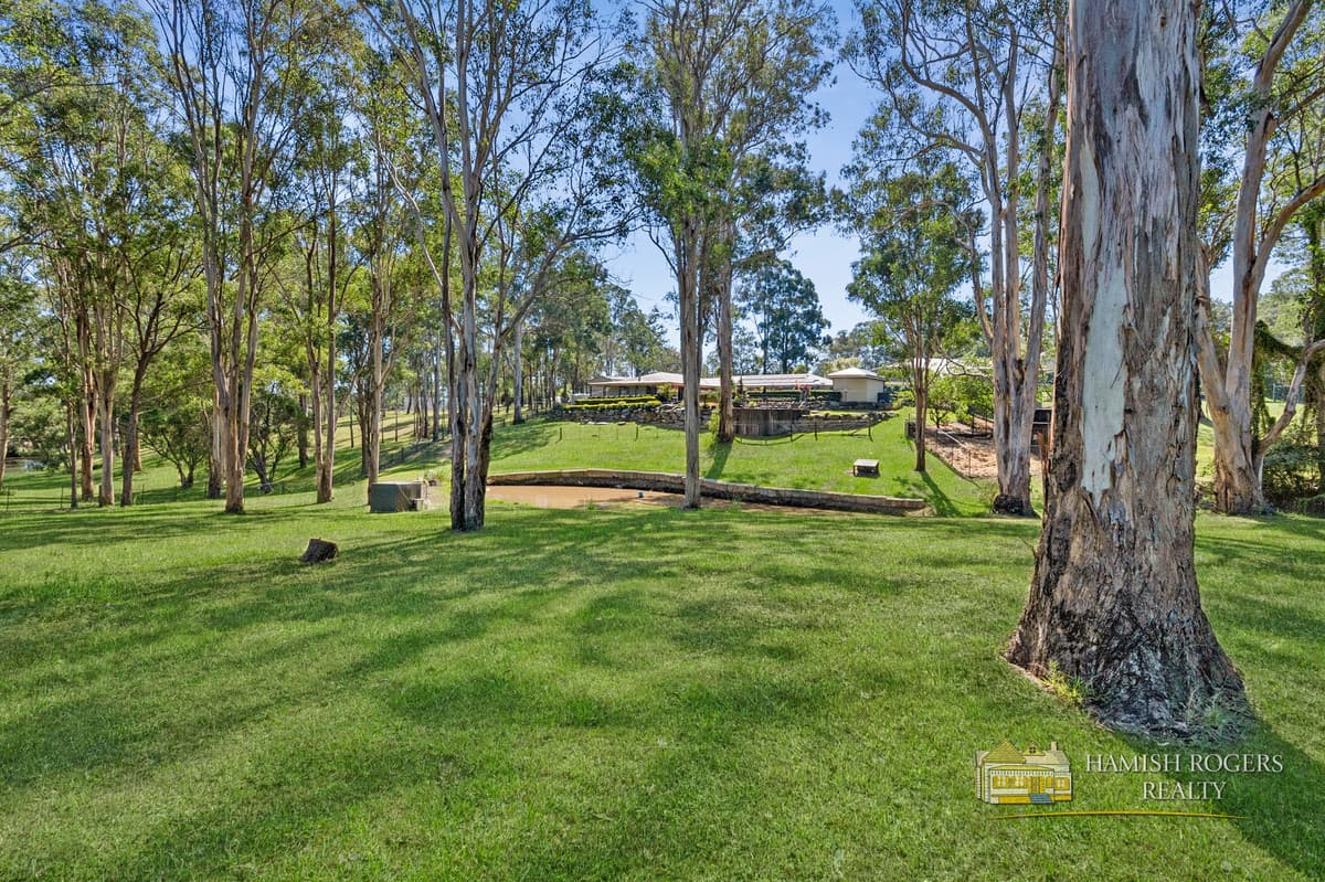 11 Tallow Wood Close, Wilberforce, NSW, Wilberforce - Thumbnail 3