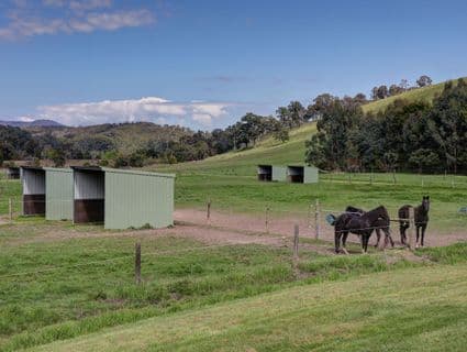 26 Donovans Road, Healesville - Thumbnail 3