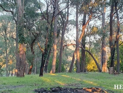 15 Juliet Crescent, Healesville - Thumbnail 3
