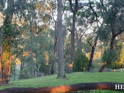 15 Juliet Crescent, Healesville - Thumbnail 5
