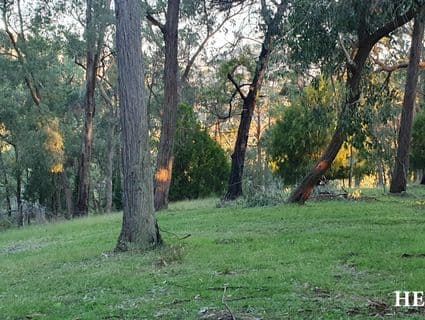 15 Juliet Crescent, Healesville - Thumbnail 6