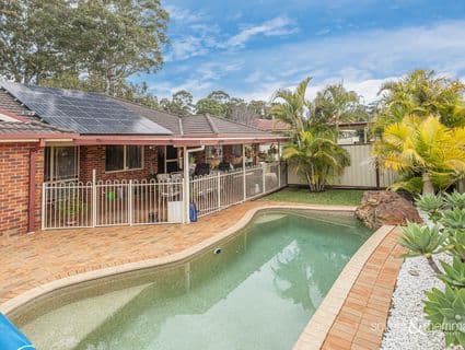 55 Coachwood Drive, Medowie - Thumbnail 2