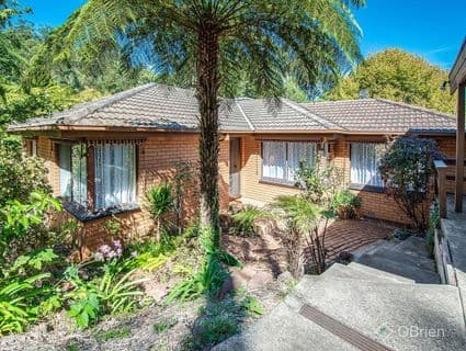 36 Blackwood Street, Tecoma - Image 1