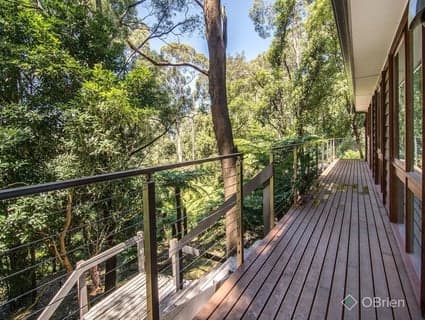 7 Peters Road, Belgrave - Thumbnail 3